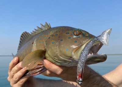 NT Fully guided and tag along Fishing Charters - Explore the Kimberleys and NT