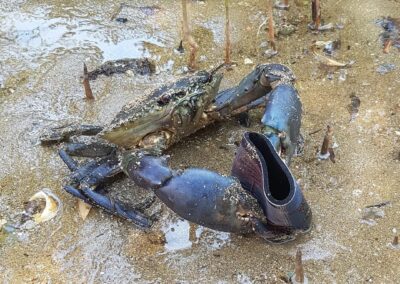 NT Fully guided and tag along Fishing Charters - Explore the Kimberleys and NT